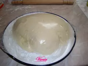 Refrigerator Dough