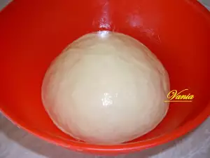 The Perfect Dough for Pizzas and Fritters