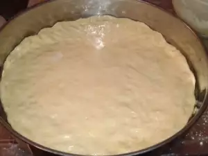 Pizza Dough with Milk and Yeast