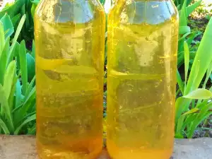 Nettle and Vinegar Tonic for Strengthening the Hair Roots