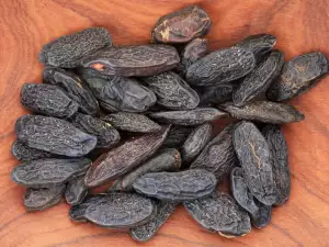 Tonka beans