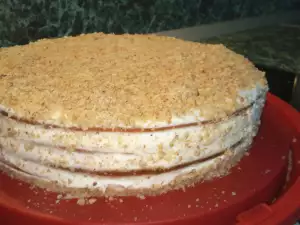 Cake with Honey Cake Layers and Sour Cream