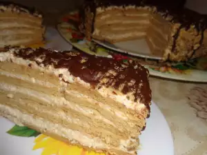 Honey Cake with Caramel Cream (Medovik)