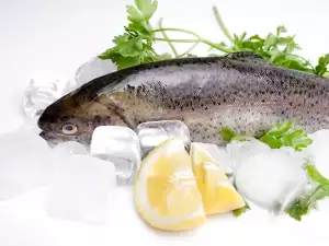 The Wonderful Benefits of Fish to your Health