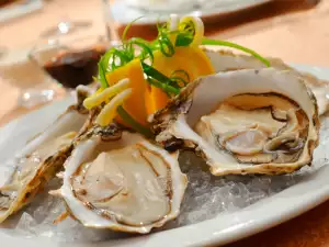 Oysters