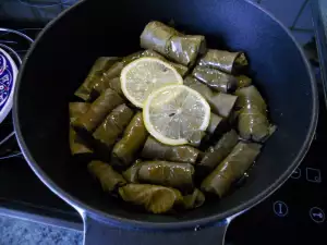 Turkish-Style Meatless Vine Rolls