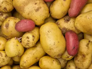 Cooking Potatoes and Potato Varieties