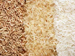 Does Rice Contain Gluten?