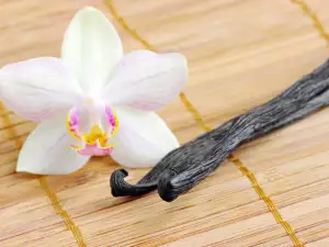 vanilla no stem