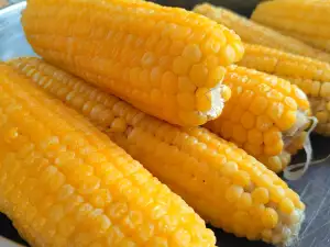 Boiled Corn on the Cob