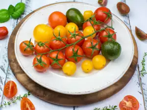 Cherry Tomatoes - What We Need to Know