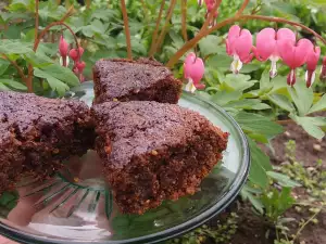 Vegan Chocolate Sponge Cake