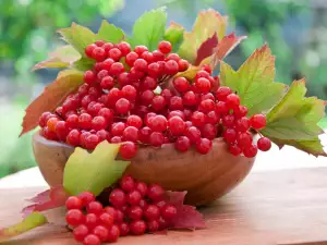 How to Make Rowan Jam