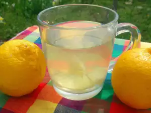 Alkaline Lemon Water for Against Viruses