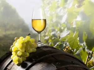 Albariño