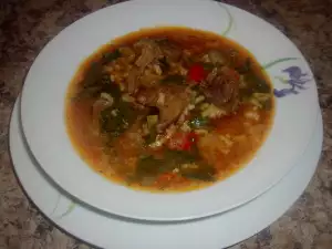 Beef, Spinach and Rice stew