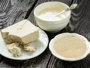 Types of Bread Yeast. What Should We Choose?