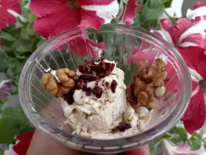 Low-Carb Peanut Butter Frozen Yogurt