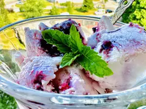 Yogurt Ice Cream with Blueberries and Jam