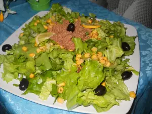 Green Salad with Tuna and Olives