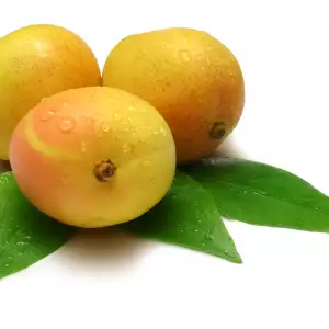 Apricots