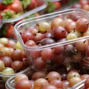 gooseberry fruit