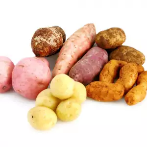 Potato Types