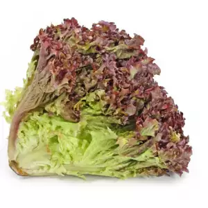 Lettuce