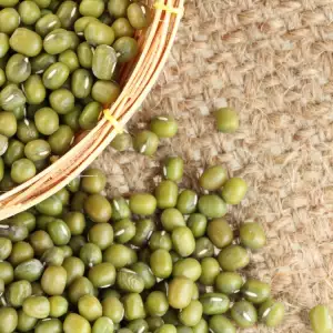 Mung Bean Raw