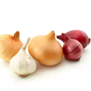 Onion Varieties