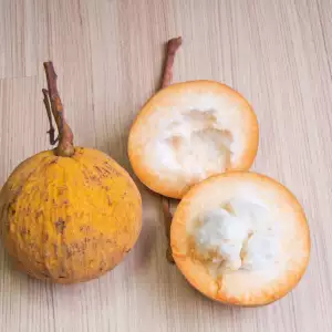 Santol fruit