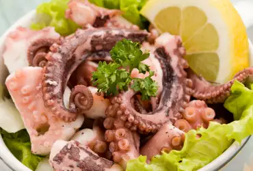 How to Tell if an Octopus is Fresh?