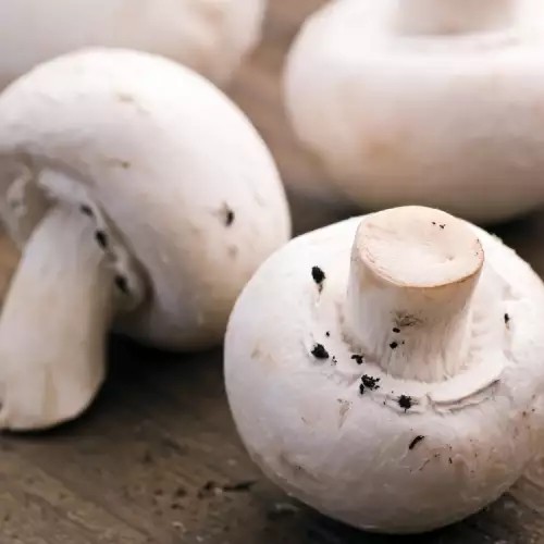 Leave your Champignons in the Sun for 1 Hour Before Cooking