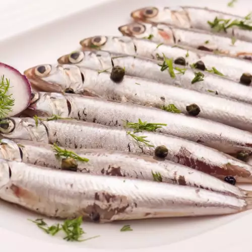 Anchovy