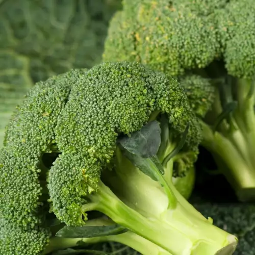 Why is it Necessary to Eat Broccoli?