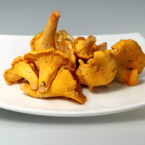 Chanterelle