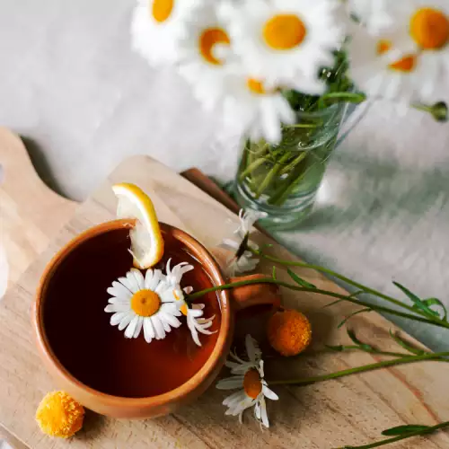 5 Benefits of Drinking Chamomile Tea