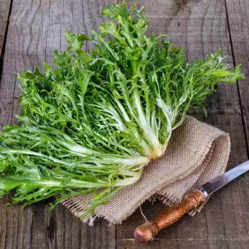 Escarole - What it is and How to Prepare it