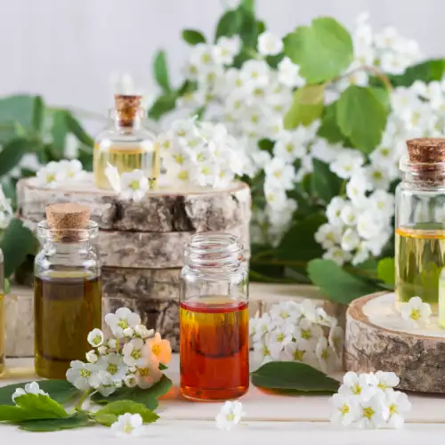 The Most Useful Essential Oils