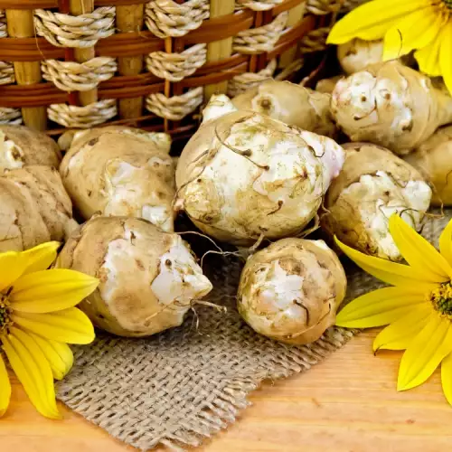 Jerusalem Artichoke - Kohlrabi