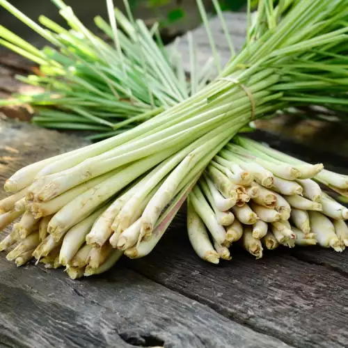 Culinary Use of Lemongrass