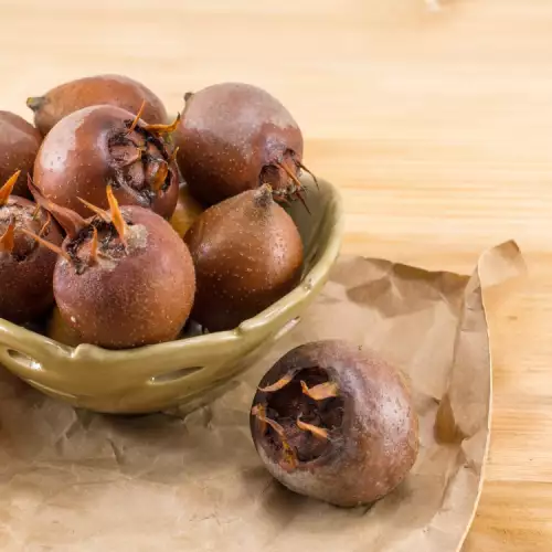 The Healing Properties of Medlar