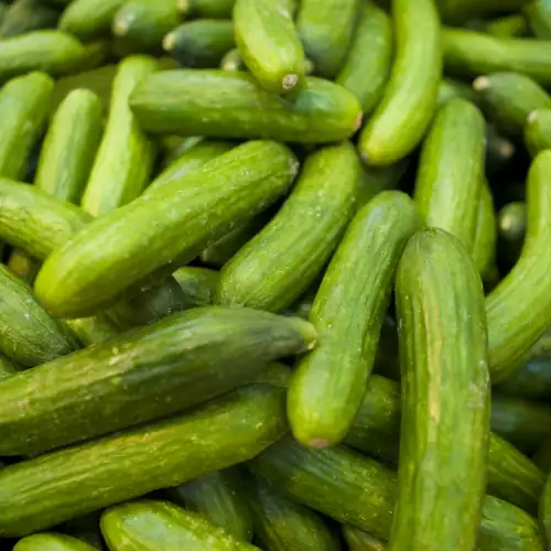 Cucumbers