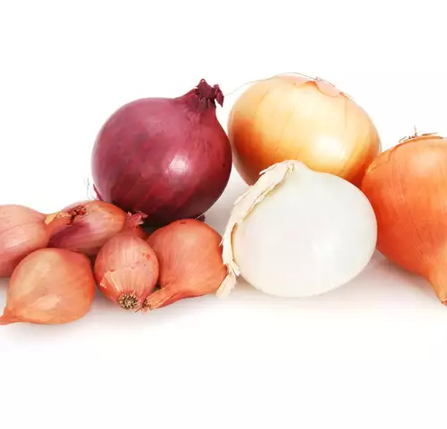 The Different Types of Onions