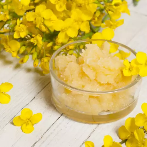 Benefits of Rapeseed Honey