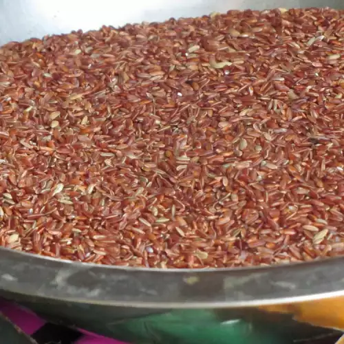 Red Rice - What We Need to Know?