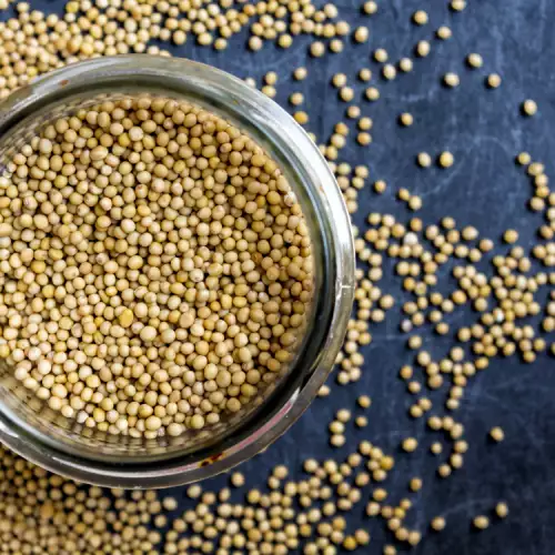 Mustard Seeds - Benefits and Use