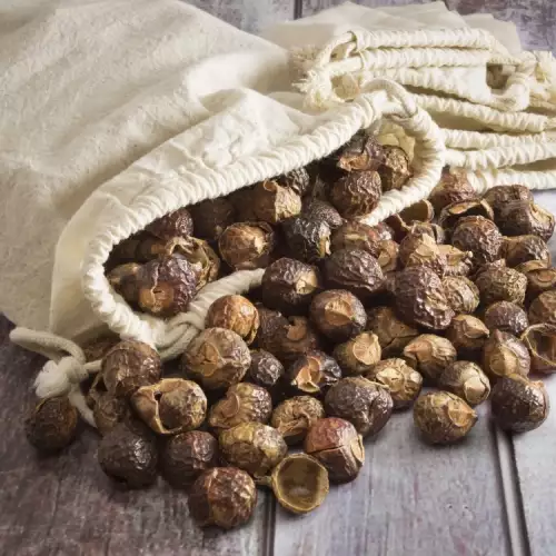 Soap Nuts