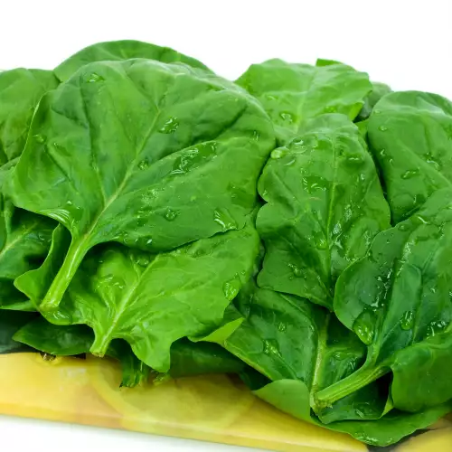 Spinach is a fighter against diabetes