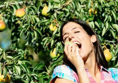 If you're not Eating Pears you're Depriving yourself of Good Health